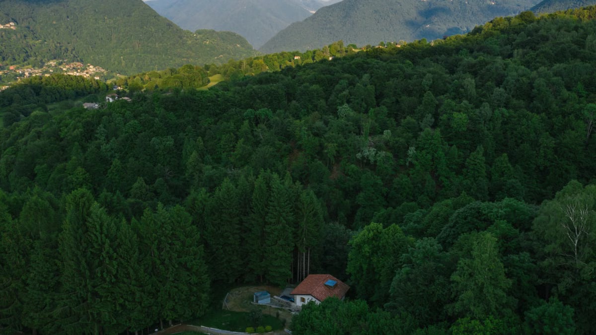 Aerial view of a lush forest and mountains with a secluded house.